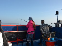 Competities HSV Alfheim